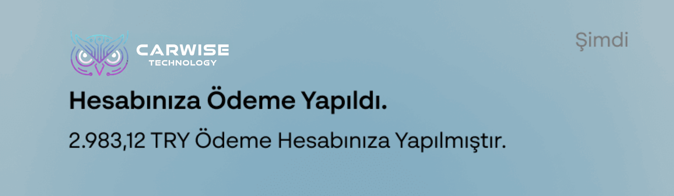 Carwise - Teknoloji Danışmanlık Hizmetleri